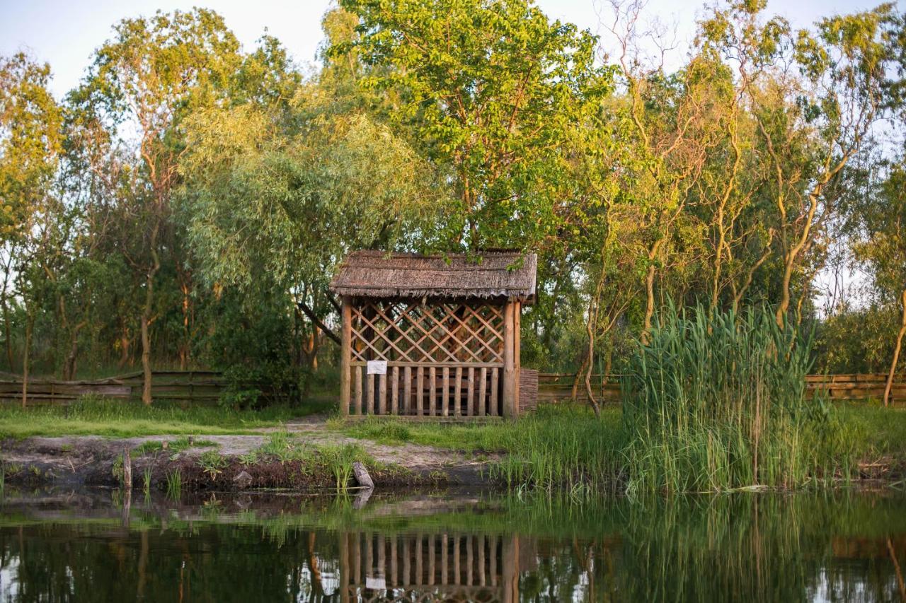 Збурьевский Кут Stara Zbur'yivka Exterior foto