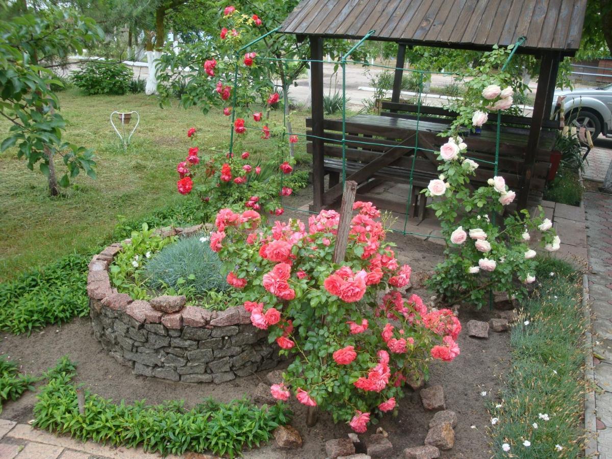 Збурьевский Кут Stara Zbur'yivka Exterior foto